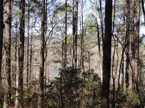 130 Crosswind Ct, Sunset, SC 29685 photo 3