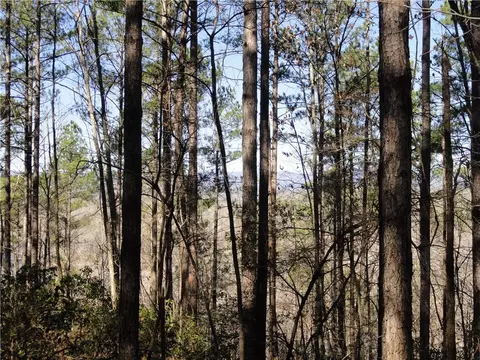 130 Crosswind Ct, Sunset, SC 29685 photo 6