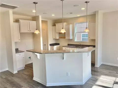 234 Samuel St, Pendleton, SC 29670 photo 8
