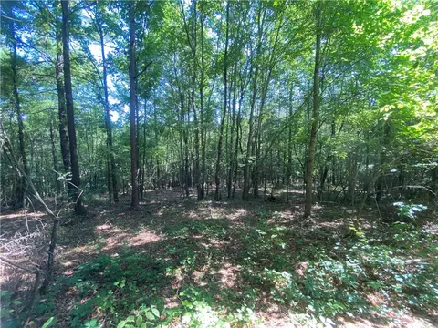 323 Stewart Rd, Walhalla, SC 29691 photo 15