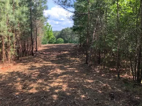 139 Drewberry Ln, Sunset, SC 29685 photo 4