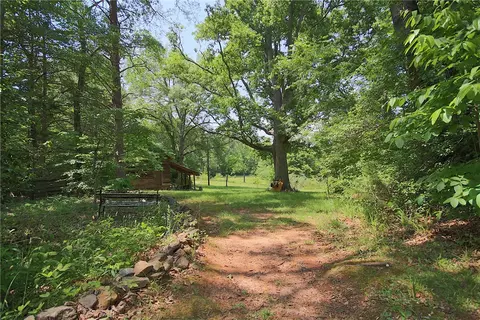 227 Lakeside Dr, Walhalla, SC 29691 photo 7