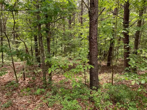 508 Vineyard Park, Sunset, SC 29685 photo 3