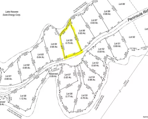 410 Peninsula Rdg, Sunset, SC 29685 photo 9