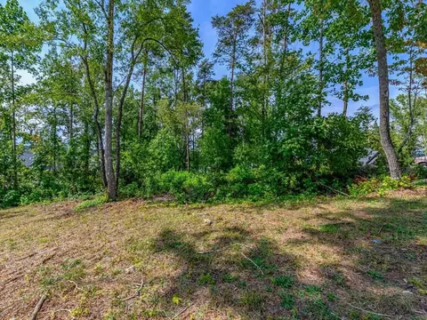 410 Peninsula Rdg, Sunset, SC 29685 photo 8