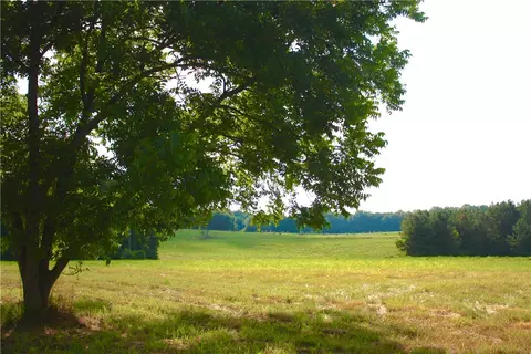 493 Flatrock Rd, Honea Path, SC 29654 photo 4