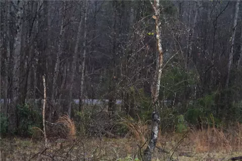 206 Memory Ln, Anderson, SC 29621 photo 6