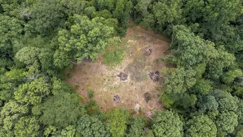 422 Johnson Rd, Easley, SC 29642 photo 32