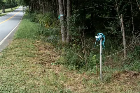 422 Johnson Rd, Easley, SC 29642 photo 6