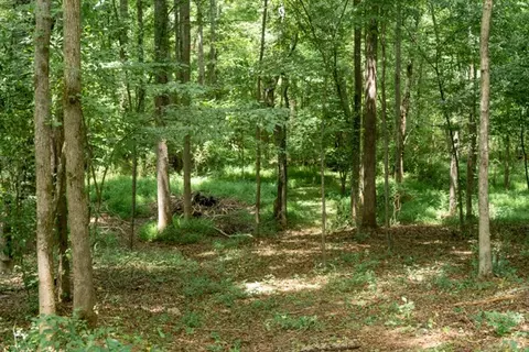 422 Johnson Rd, Easley, SC 29642 photo 5