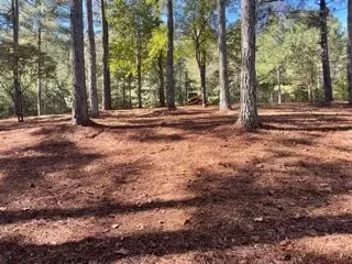 212 Featherstone Dr, Sunset, SC 29685 photo 5