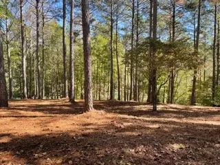 212 Featherstone Dr, Sunset, SC 29685 photo 6