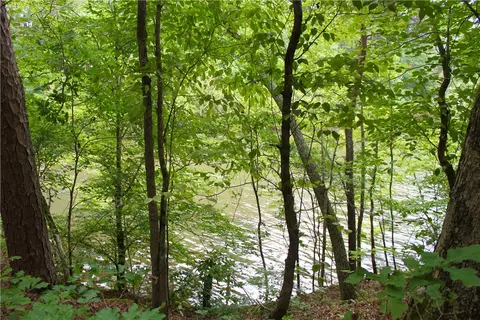 47 Lake Edge Way, Toccoa, SC 30577 photo 3