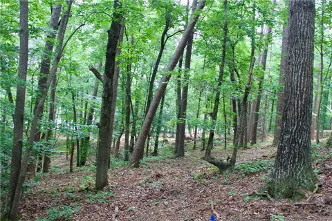 47 Lake Edge Way, Toccoa, SC 30577 photo 8