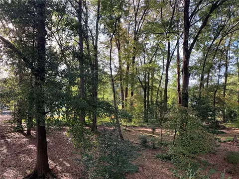 230 Holiday East Ave, Clemson, SC 29631 photo 40