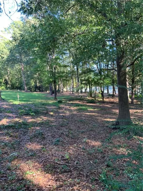 230 Holiday East Ave, Clemson, SC 29631 photo 30