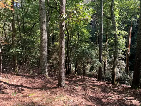 598 Walnut Tree Rd, Mountain Rest, SC 29664 photo 21