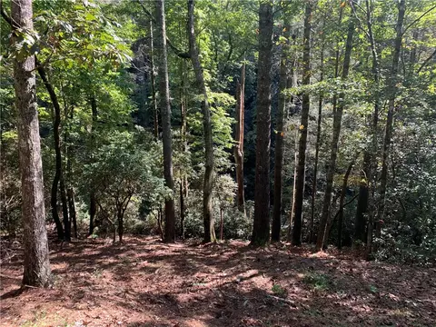 598 Walnut Tree Rd, Mountain Rest, SC 29664 photo 22