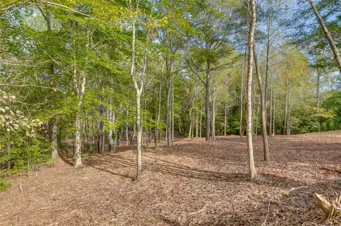 149 Mccrea Ct, Easley, SC 29640 photo 5