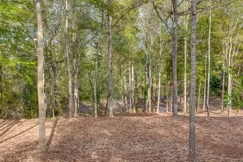 149 Mccrea Ct, Easley, SC 29640 photo 4