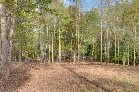 149 Mccrea Ct, Easley, SC 29640 photo 6