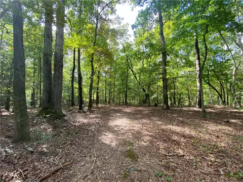 6301 Liberty Hwy, Pendleton, SC 29670 photo 50