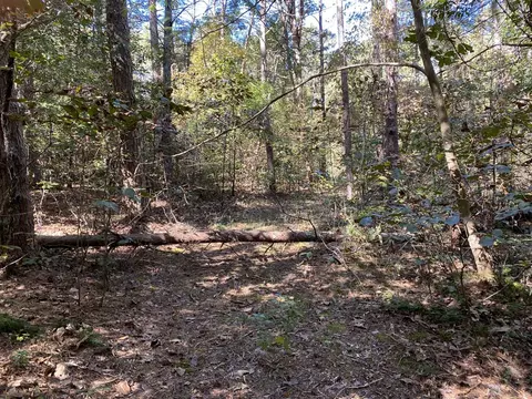 172 Currahee Pt, Toccoa, GA 30577 photo 3