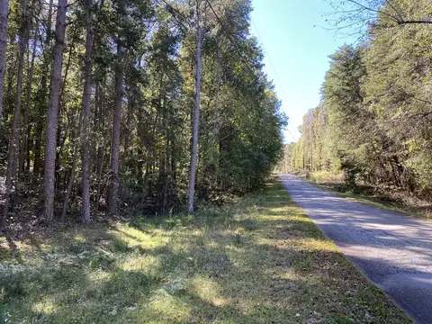 172 Currahee Pt, Toccoa, GA 30577 photo 5