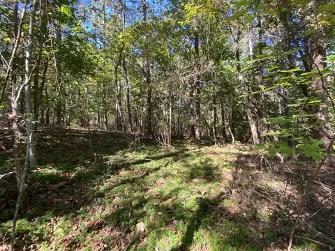 172 Currahee Pt, Toccoa, GA 30577 photo 4