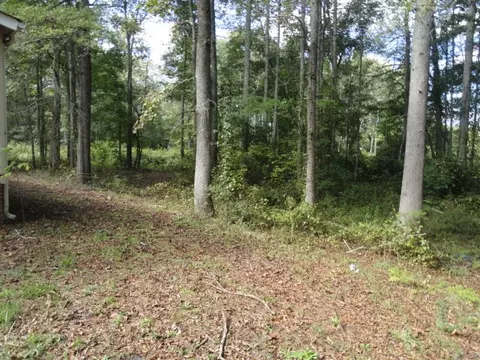 152 G St, Williamston, SC 29697 photo 20