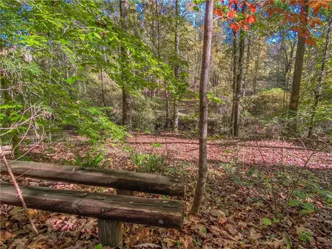 145 Warner Mill Rd, Walhalla, SC 29691 photo 4