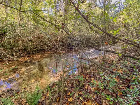 145 Warner Mill Rd, Walhalla, SC 29691 photo 46