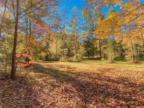 145 Warner Mill Rd, Walhalla, SC 29691 photo 5