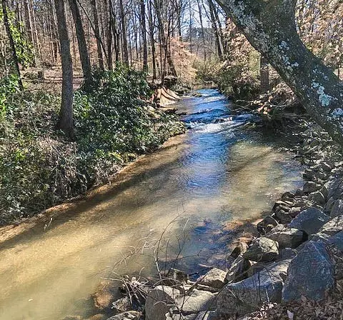 145 Warner Mill Rd, Walhalla, SC 29691 photo 3