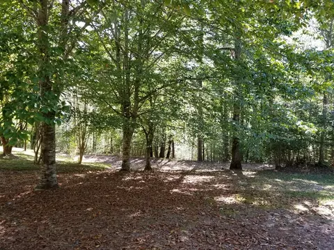 312 Mill Creek Rd, Sunset, SC 29685 photo 25