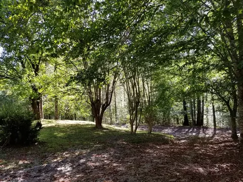 312 Mill Creek Rd, Sunset, SC 29685 photo 27