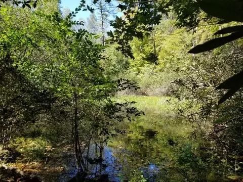 312 Mill Creek Rd, Sunset, SC 29685 photo 17