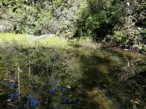 312 Mill Creek Rd, Sunset, SC 29685 photo 14