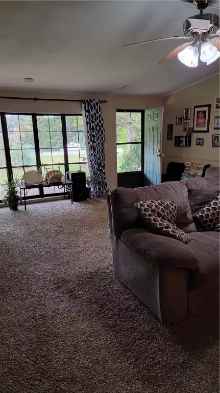 231 Pike Rd, Central, SC 29630 photo 5
