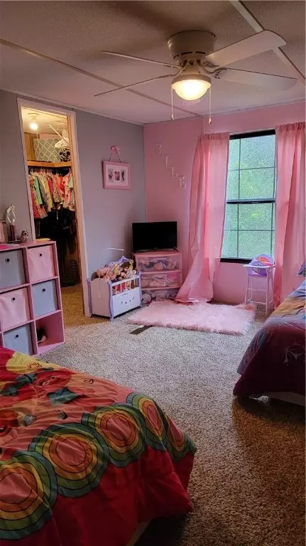 231 Pike Rd, Central, SC 29630 photo 9