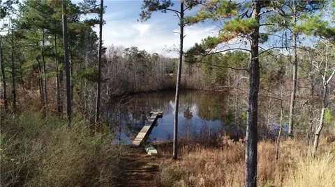 330 Radisson Rd, Seneca, SC 29678 photo 30