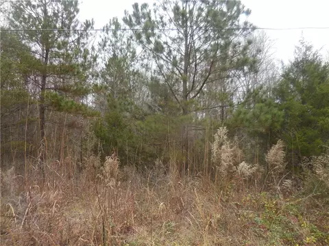 147 Maple Way, Easley, SC 29640 photo 4