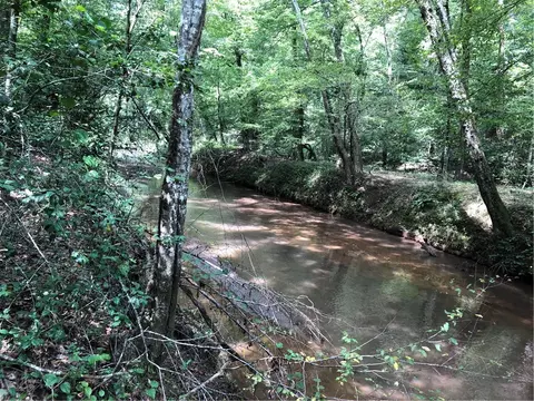 251 Colonels Rd, Pendleton, SC 29670 photo 3