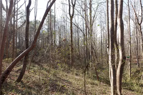 1607 Sexton Gin Rd, Starr, SC 29684 photo 9