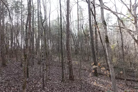 1607 Sexton Gin Rd, Starr, SC 29684 photo 13