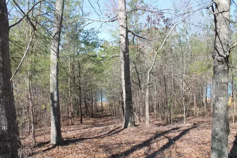 1633 Ridgemore Dr, Toccoa, GA 30577 photo 16