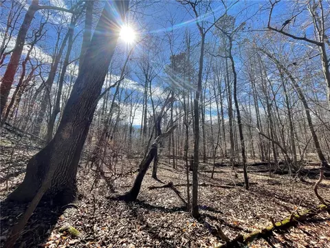 lot411 Birch Ct, Westminster, SC 29693