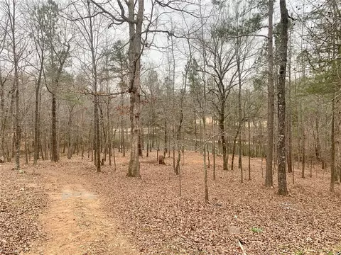 225 Morgan Dr, Central, SC 29630 photo 47