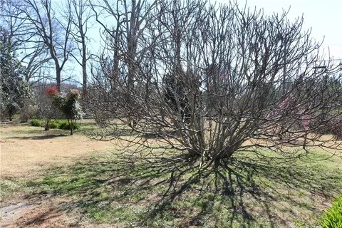 2101 E River St, Anderson, SC 29621 photo 36