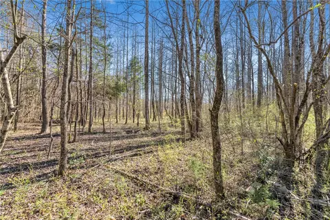 115 Mac Rd, Pickens, SC 29671 photo 27
